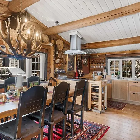 Horská chata Th587- Premium Ski-in Out In Trysil With Jacuzzi, Sauna 4 Bathrooms *